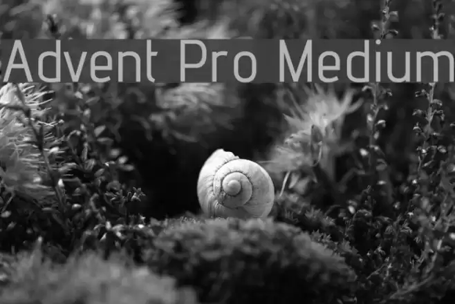 Advent Pro Medium Font examples