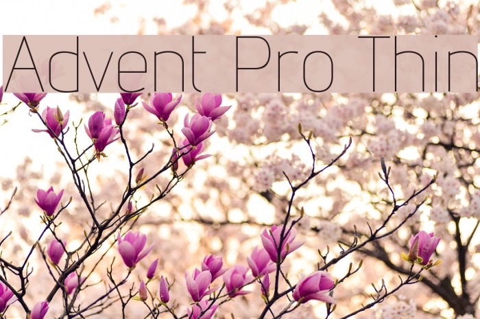 Advent Pro Thin Font examples