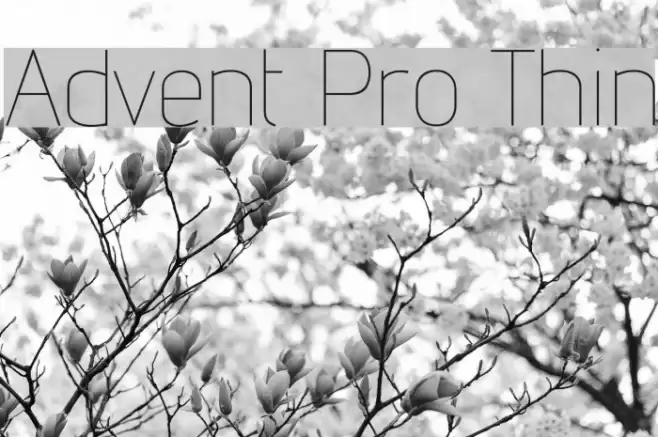 Advent Pro Thin Font examples