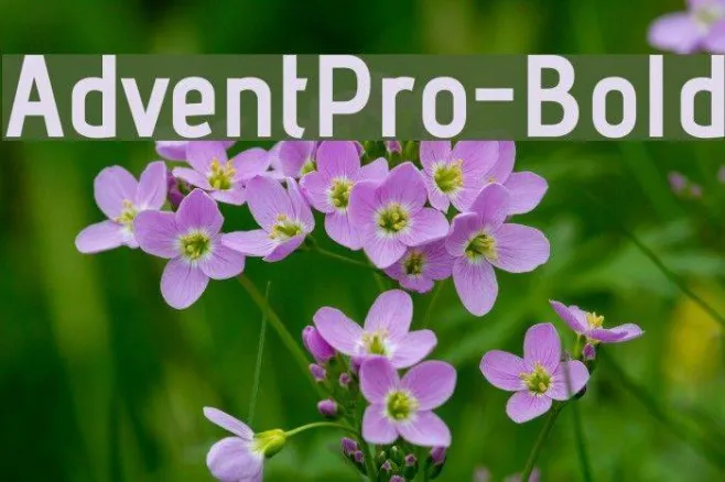 AdventPro-Bold Example 1
