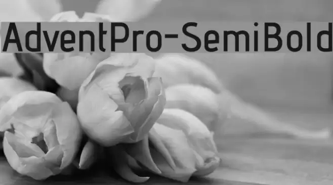 AdventPro-SemiBold Font examples