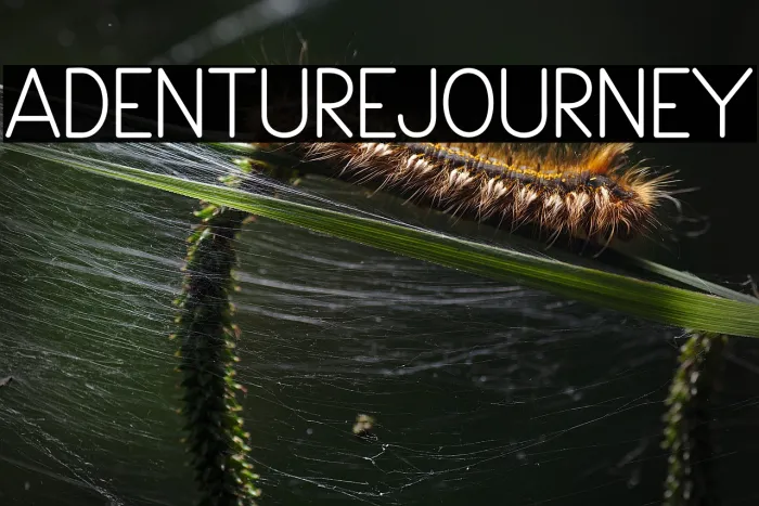 Adventure Journey Example 2