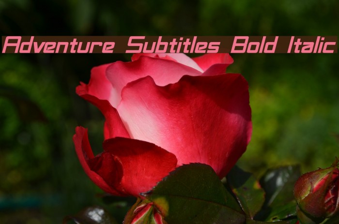 Adventure Subtitles Bold Italic Font examples