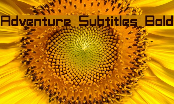 Adventure Subtitles Bold Font examples