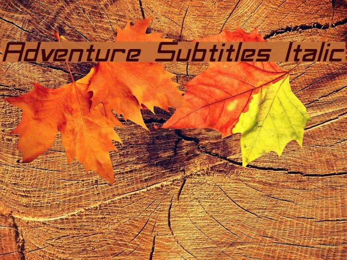 Adventure Subtitles Italic Font examples