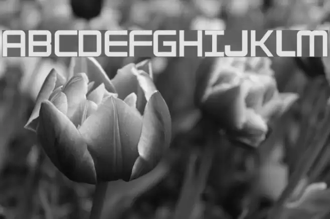 Adventure Subtitles Normal フォント examples