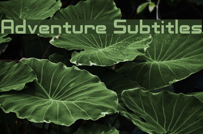 Adventure Subtitles フォント examples