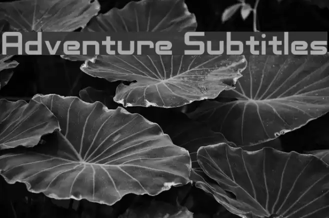 Adventure Subtitles Font examples