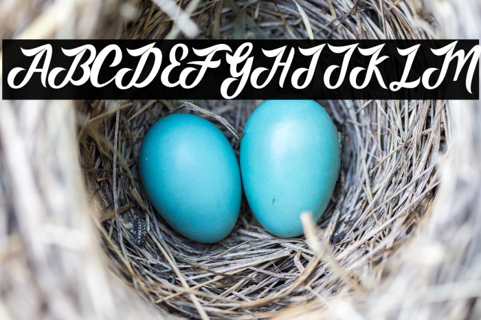 AdventureScript Example 1