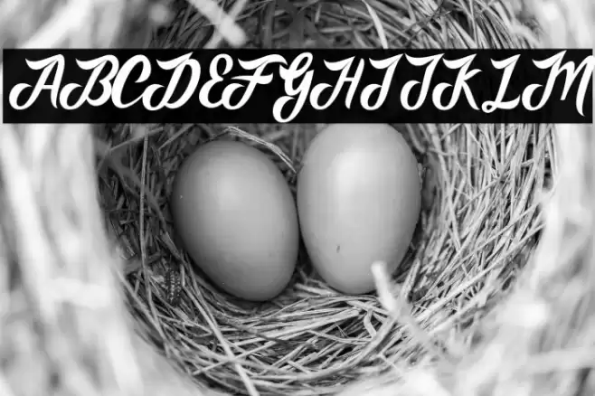 AdventureScript フォント examples