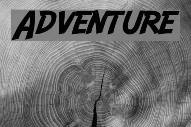 Adventure Polices examples