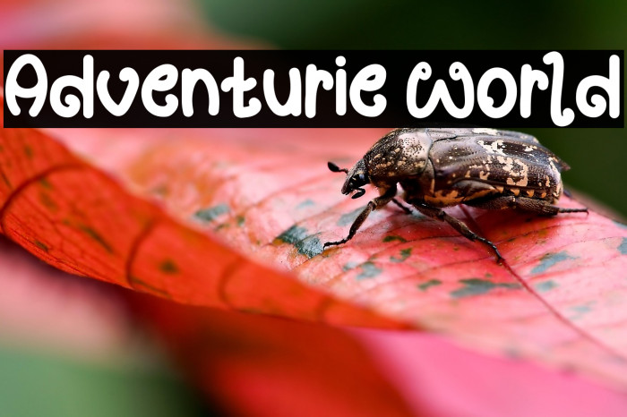 Adventurie World Example 3