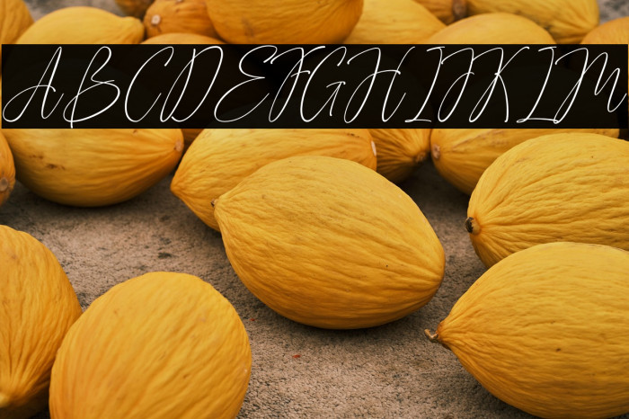 Advera Script Example 1