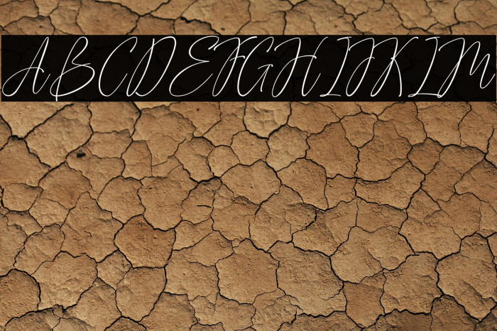 Advera Script Example 2