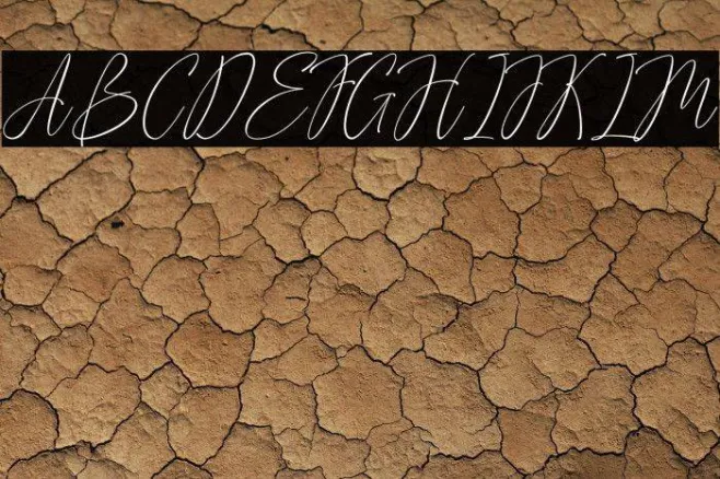 Advera Script Example 2