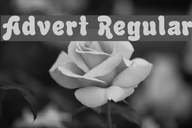Advert Regular Fonte examples