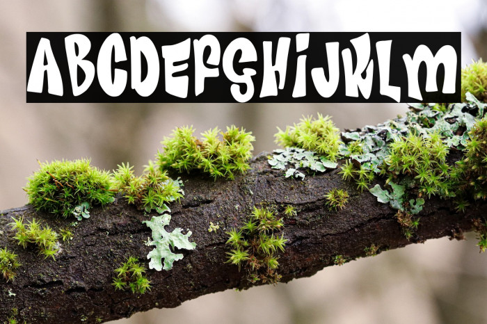 Advertising Pulp Example 3