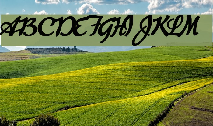 Advertising Script Bold Font examples