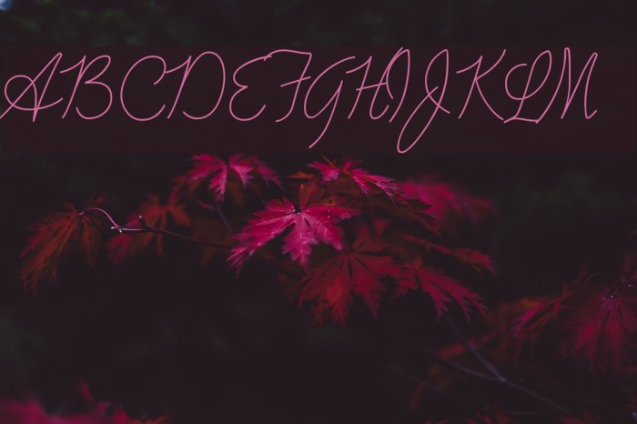 Advertising Script Monoline Font examples
