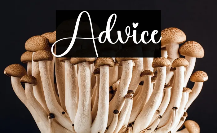 Advice Example 3