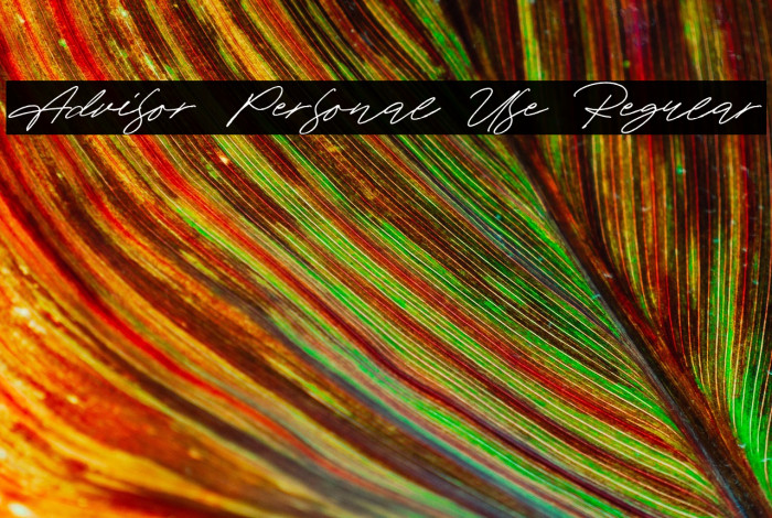 Advisor Personal Use Regular Example 1