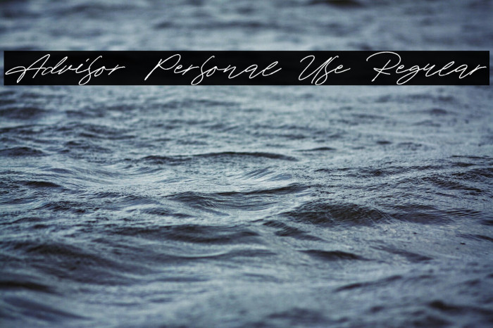 Advisor Personal Use Regular Example 3