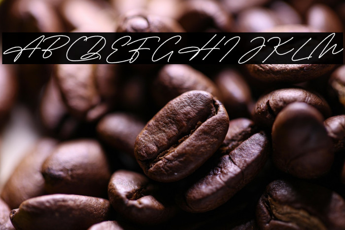 AdvisorPersonalUse-Regular Example 2