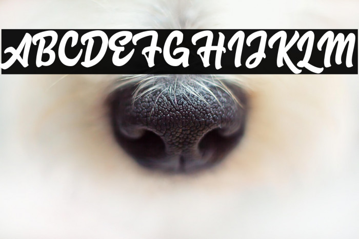 Advocate Script Example 2