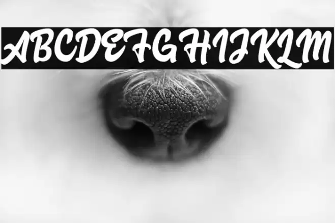 Advocate Script Font examples