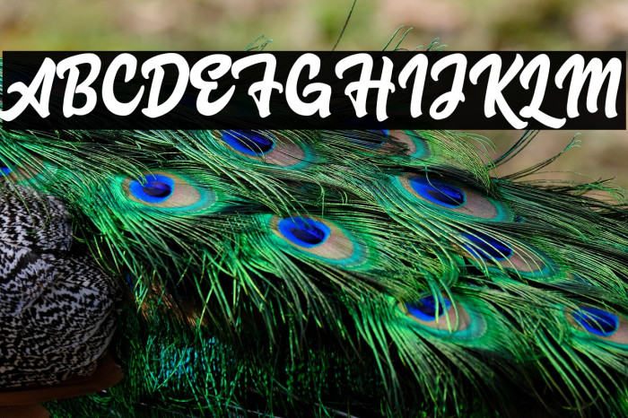 Advocate Script Example 3