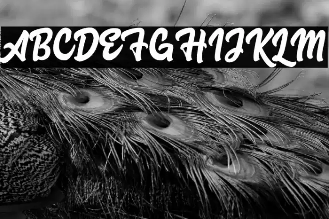 Advocate Script Font examples