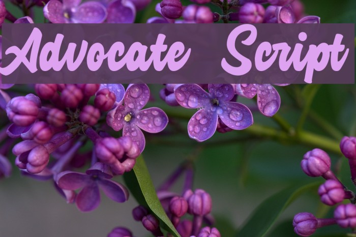 Advocate Script Font examples