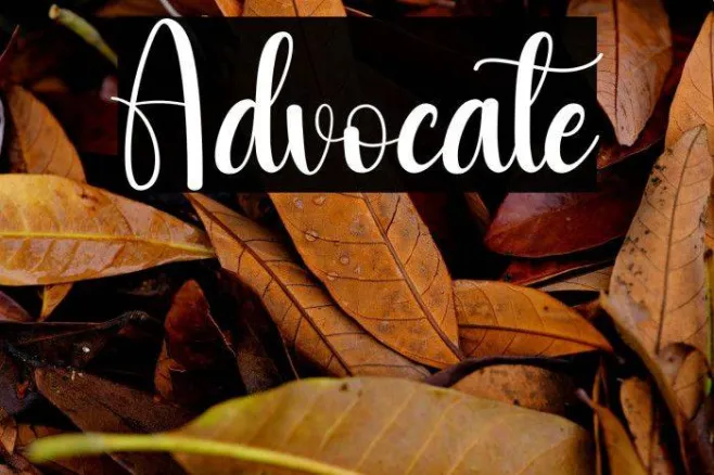 Advocate Example 3