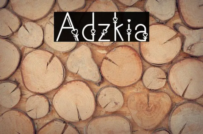 Adzkia Example 1