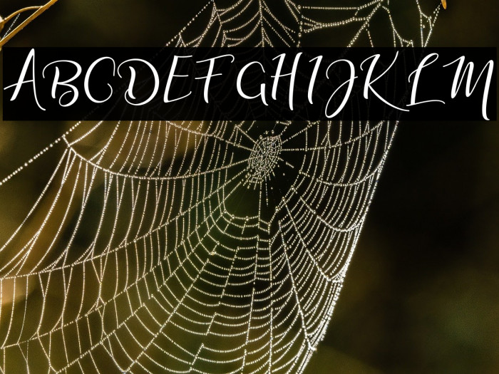 adalinescript Example 3