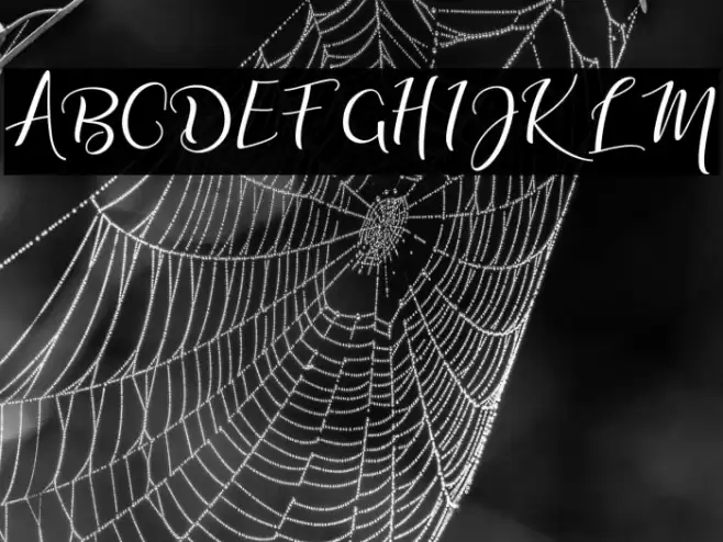 adalinescript Font examples