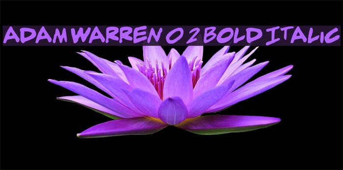 adam warren 0.2 Bold Italic Font examples