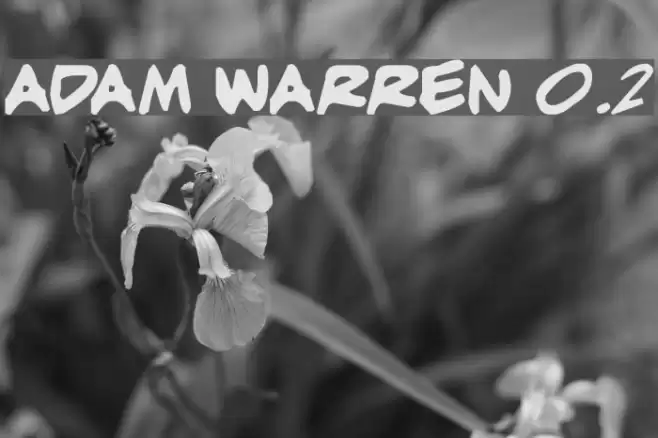 adam warren 0.2 Schriftart examples