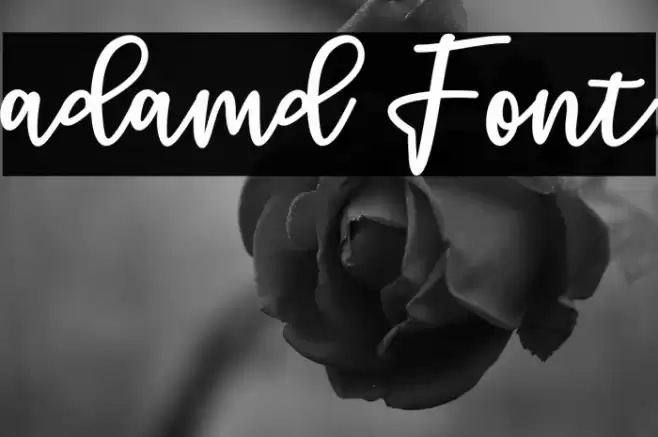 adamd Font examples