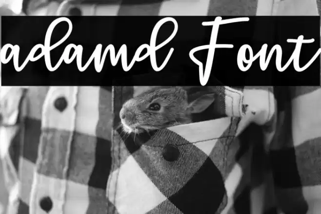 adamd Font examples