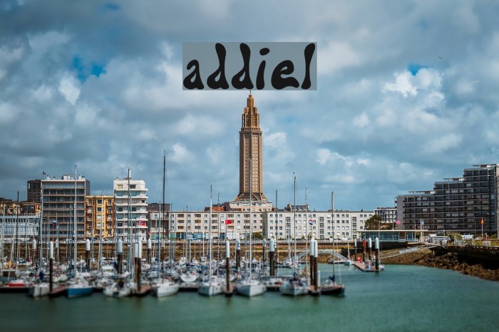addiel Polices examples