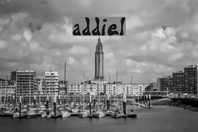 addiel Polices examples