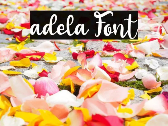 adela Example 1