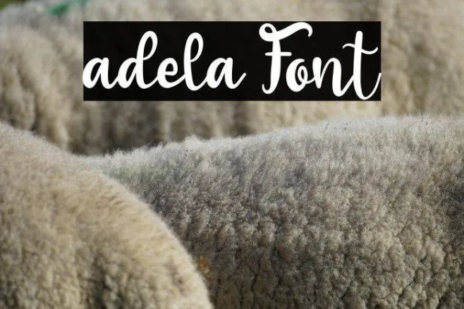 adela Example 2