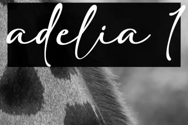 adelia 1 Caratteri examples