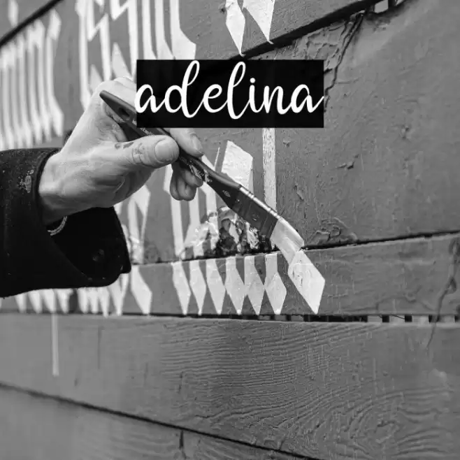 adelina Font examples