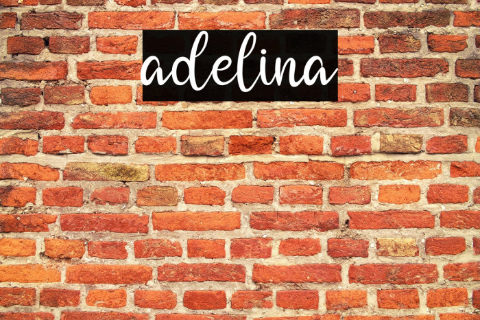 adelina Example 2