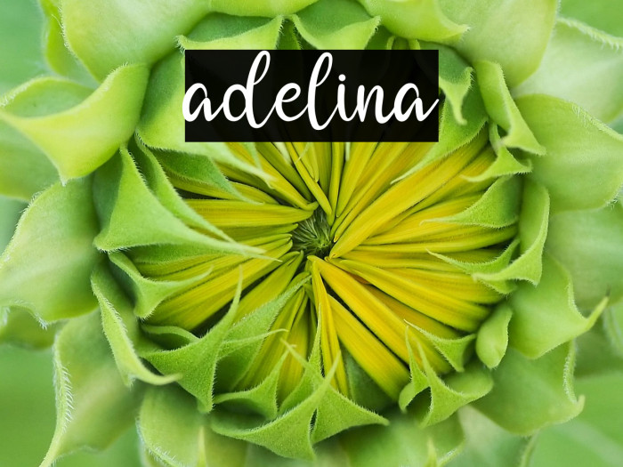 adelina Example 3