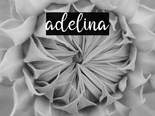 adelina Font examples