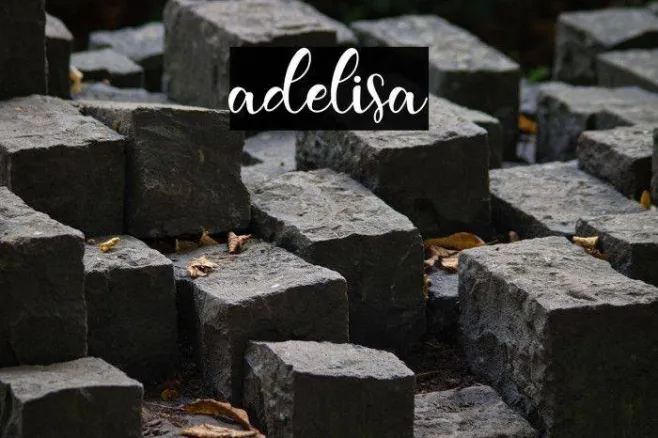 adelisa Example 1